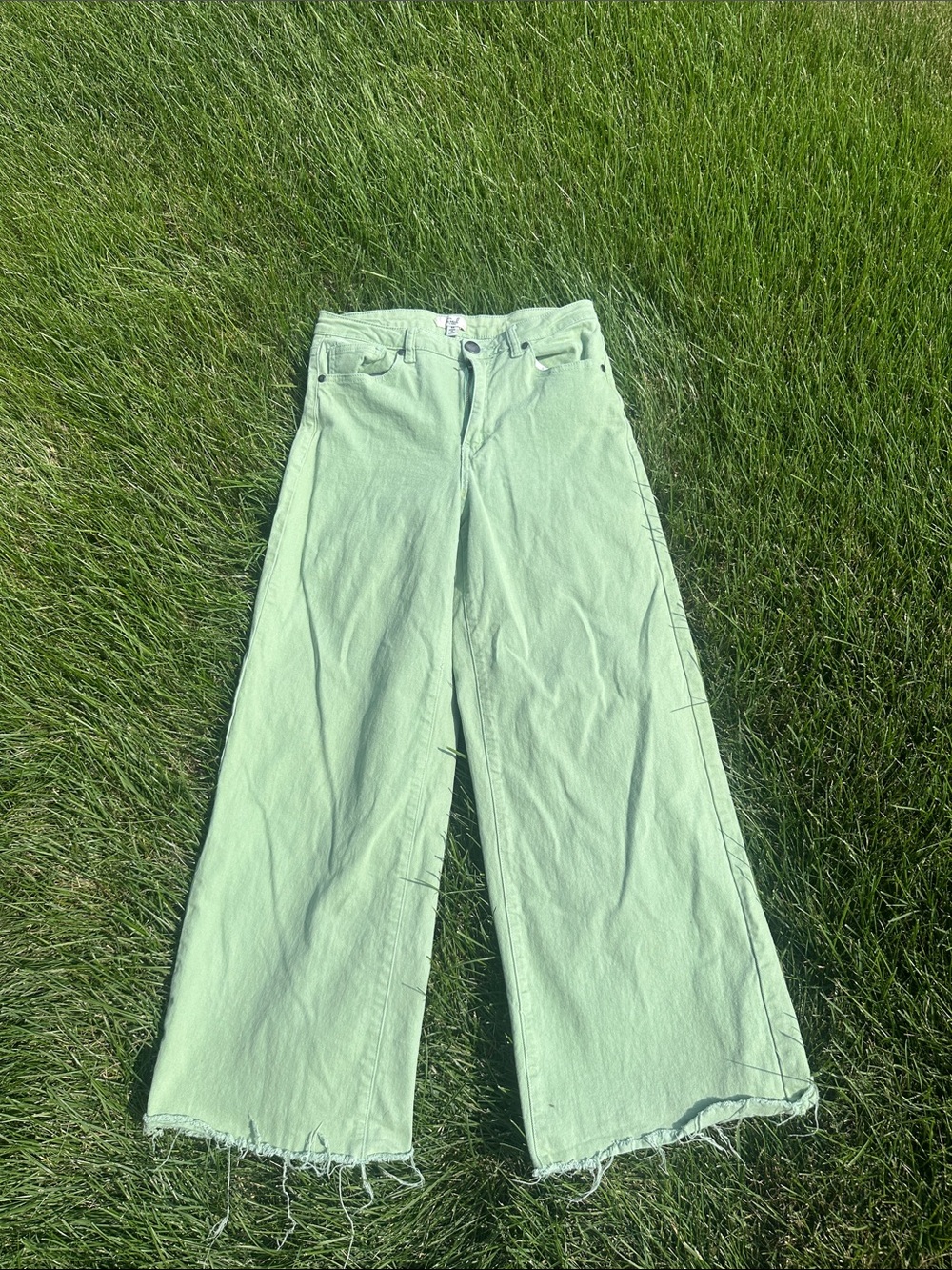 easel Pastel Mint Wide-Leg Jeans
